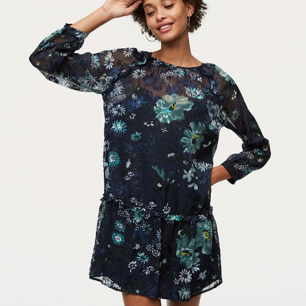 🔥 Ann Taylor LOFT Winter Garden Flounce Dress
